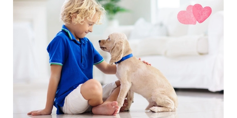 “Daddy, Can I Have a Puppy?”  - What Every Parent Should Consider