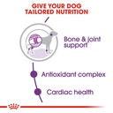 Royal Canin Giant Adult Food 15 KG