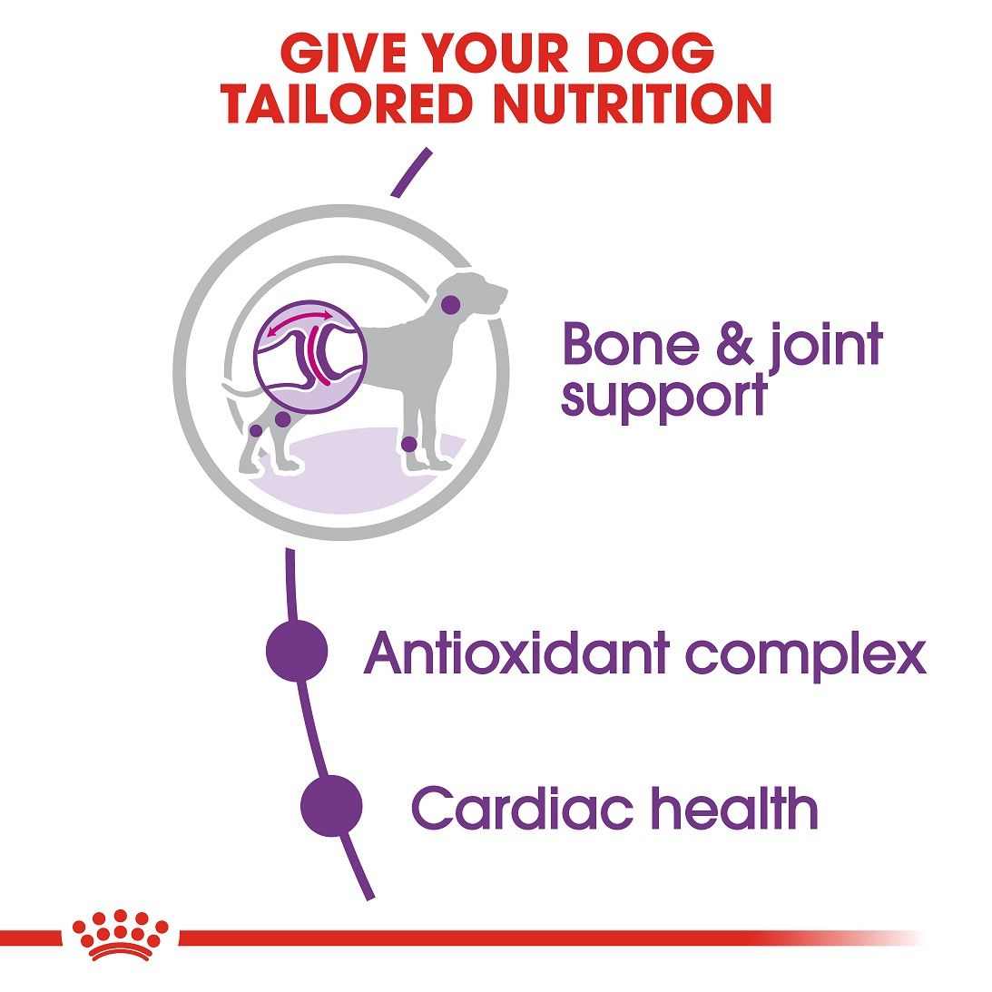 5e721f39_royal-canin-giant-adult-food-15-kg