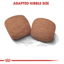 Royal Canin Giant Adult Food 15 KG
