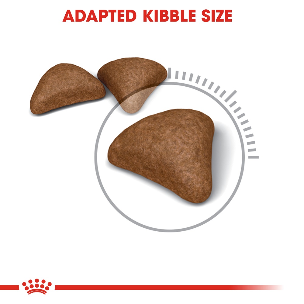 5e95906d_royal-canin-intense-hairball-dry-cat-food-400-g
