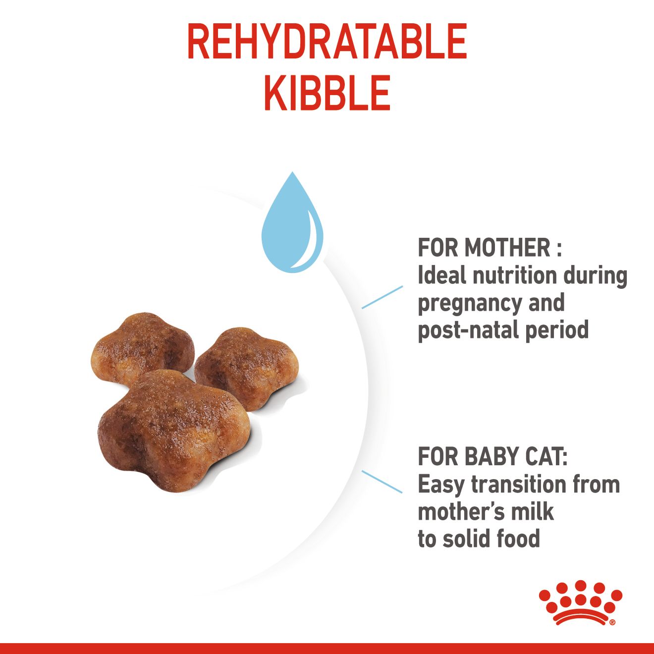 62ff5e0c_royal-canin-babycat-dry-food-2-kg