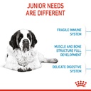 Royal Canin Giant Junior Dog Food 15 Kg