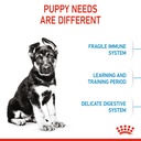 Royal Canin Maxi Puppy (16 KG) – Dry food for large dogs – Adult weight from 26 to 44 KG. From 2 to 15 months.