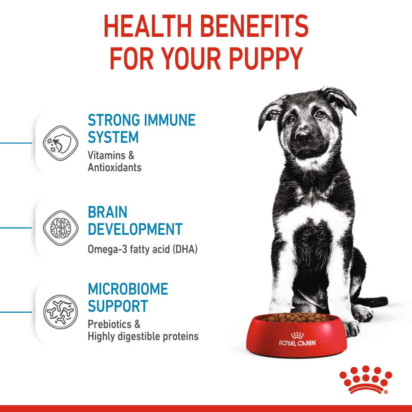 62ff64eb_royal-canin-maxi-puppy-16-kg-dry-food-for-large-dogs-adult-weight-from-26-to-44-kg-from-2-to-15-months