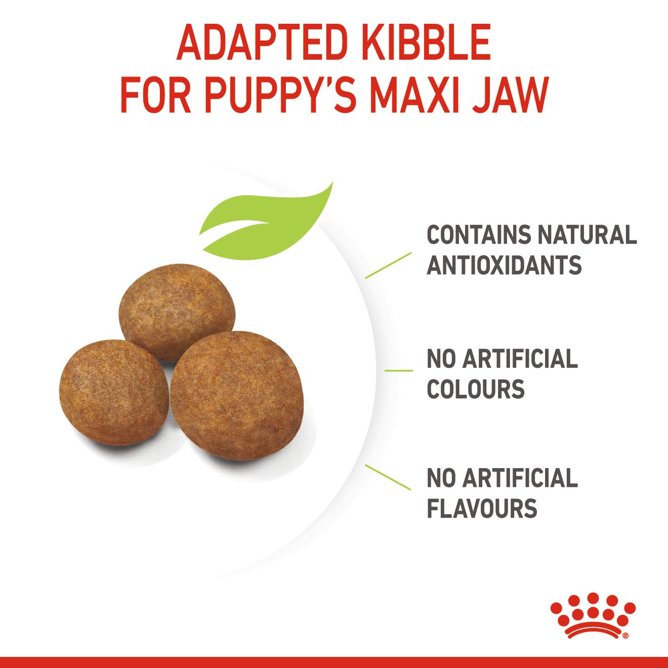 62ff64eb_royal-canin-maxi-puppy-16-kg-dry-food-for-large-dogs-adult-weight-from-26-to-44-kg-from-2-to-15-months