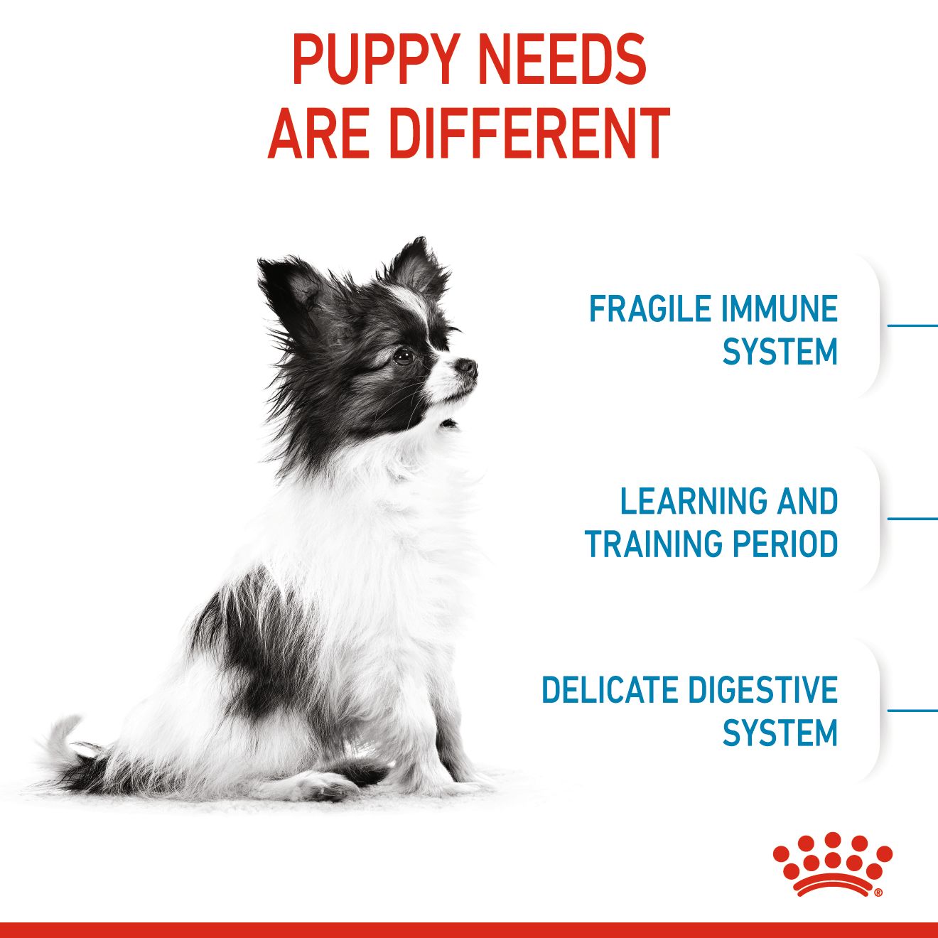 62ff668b_royal-canin-x-small-puppy-1-5-kg