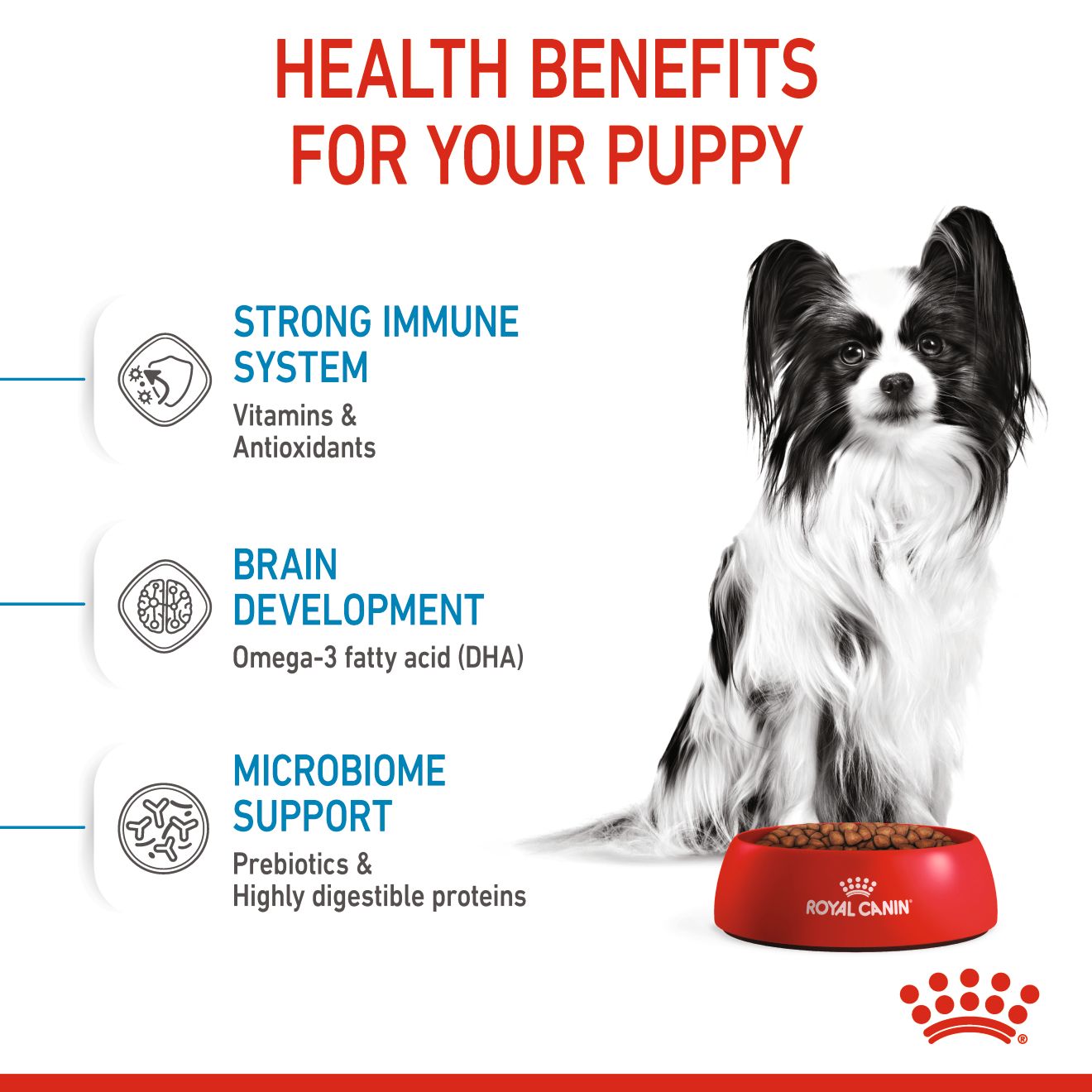 62ff668b_royal-canin-x-small-puppy-1-5-kg