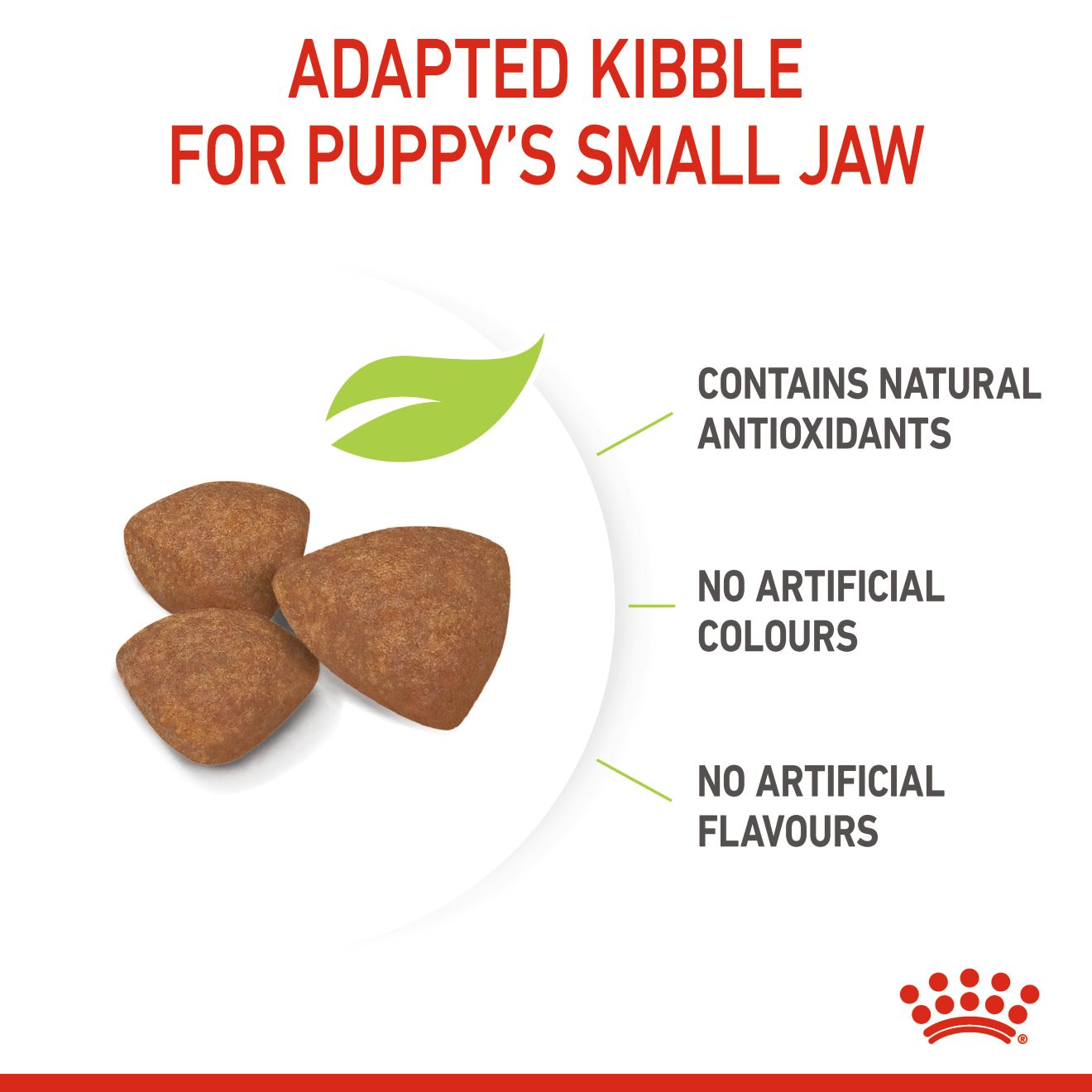 6310e109_royal-canin-mini-puppy-dry-food-4kg