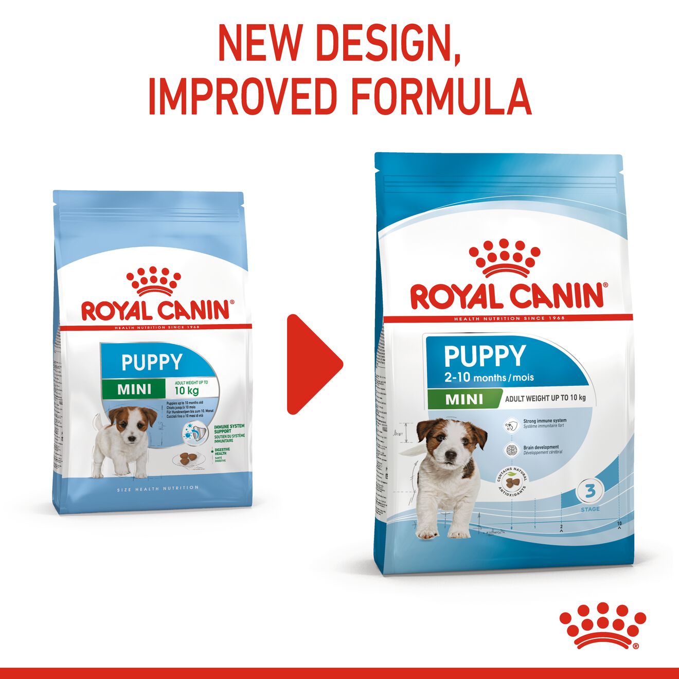 6310e109_royal-canin-mini-puppy-dry-food-4kg