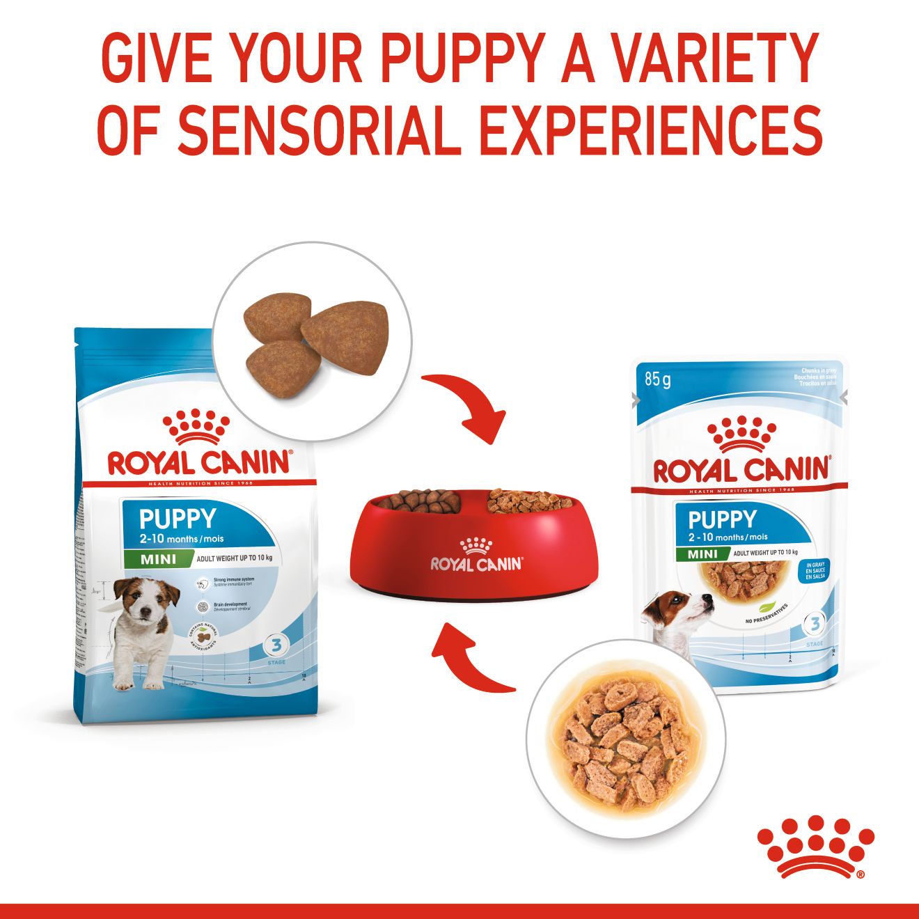 6310e109_royal-canin-mini-puppy-dry-food-4kg