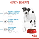 Royal Canin Mini Starter Dry Food 1kg 