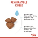 Royal Canin Mini Starter Dry Food 1kg 
