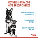 Royal Canin - Maxi Starter Dry Food 15kg