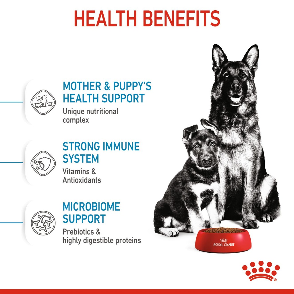 Royal Canin - Maxi Starter Dry Food 15kg