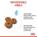 Royal Canin - Maxi Starter Dry Food 15kg