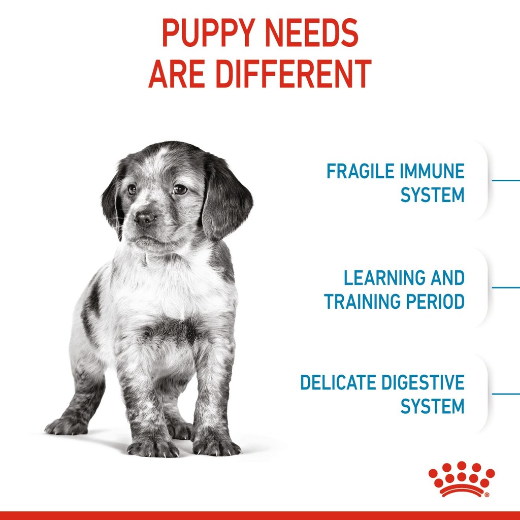 Royal Canin Medium Puppy Dry Food 15kg