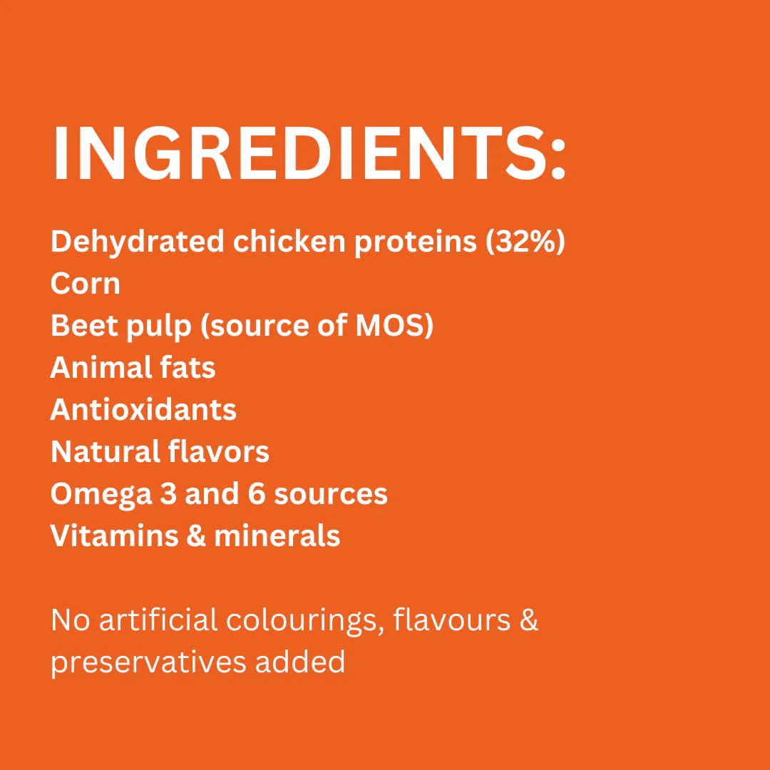 63bd6369_legends-wholesome-chicken-adult-dogs-dry-food-20-kg