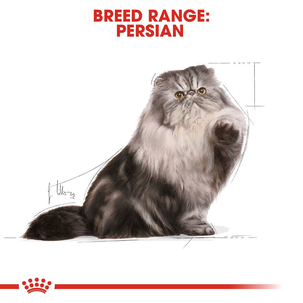 5ce2d0be_royal-canin-persian-adult-loaf-85g
