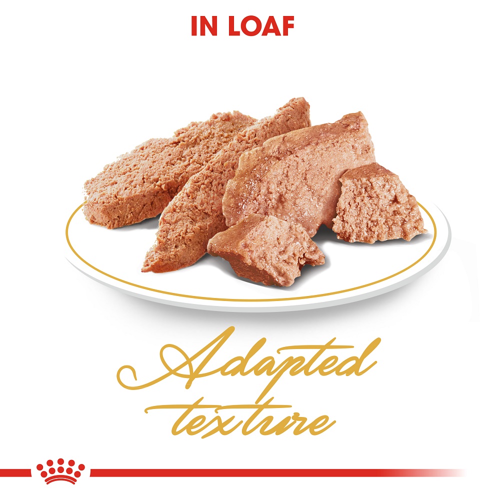 5ce2d0be_royal-canin-persian-adult-loaf-85g
