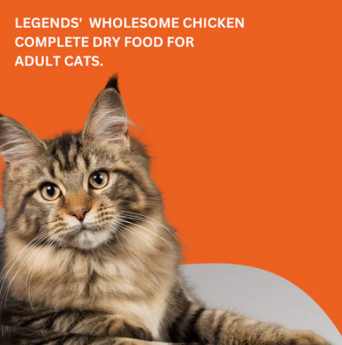 65118005_legends-wholesome-chicken-adult-cats-dry-food-3-kg