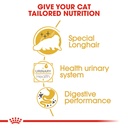 Royal canin Persian Adult Loaf 85g