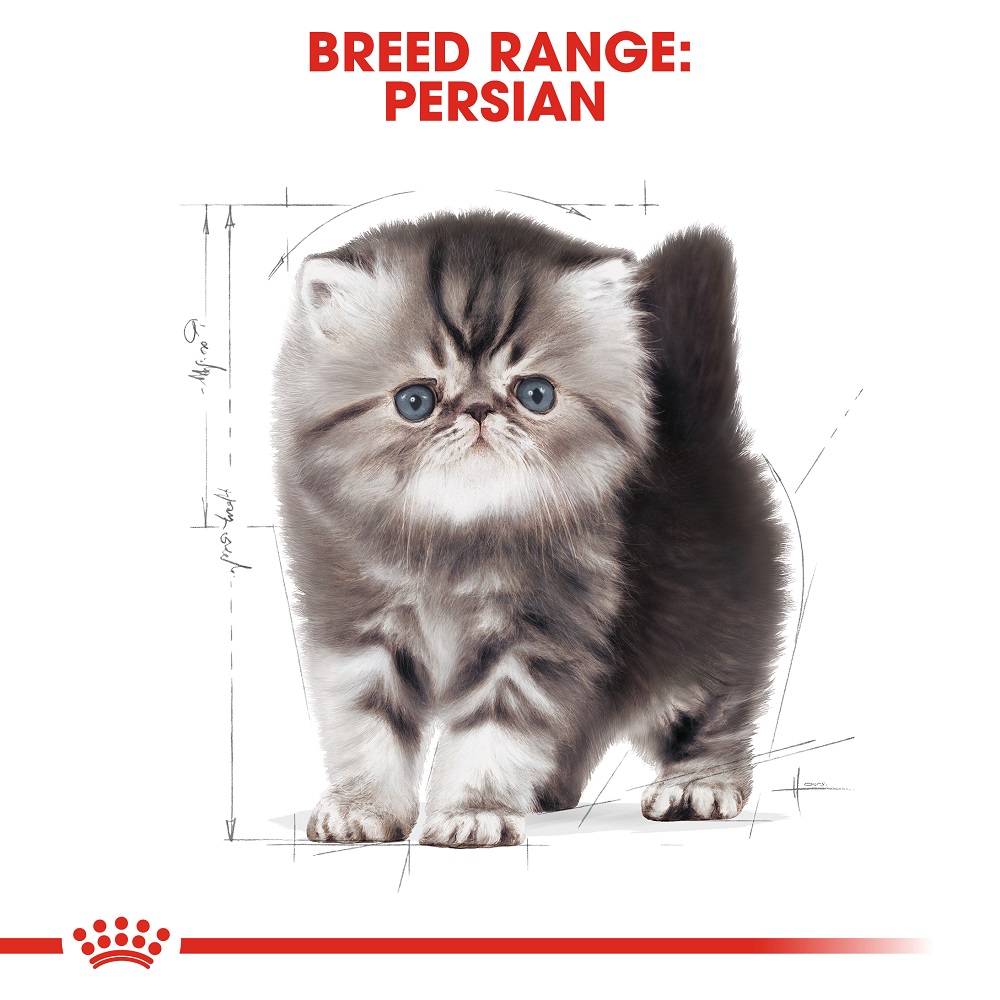 Royal Canin Persian Kitten Dry Food 2kg