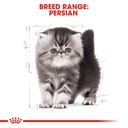 Royal Canin Persian Kitten Dry Food 2kg