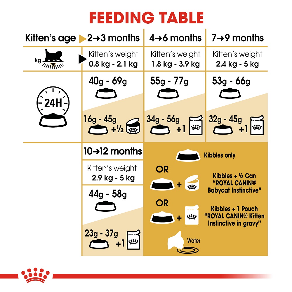 Royal Canin Persian Kitten Dry Food 2kg