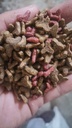 Decatoo Adult Cats Dry Food 10 Kg 