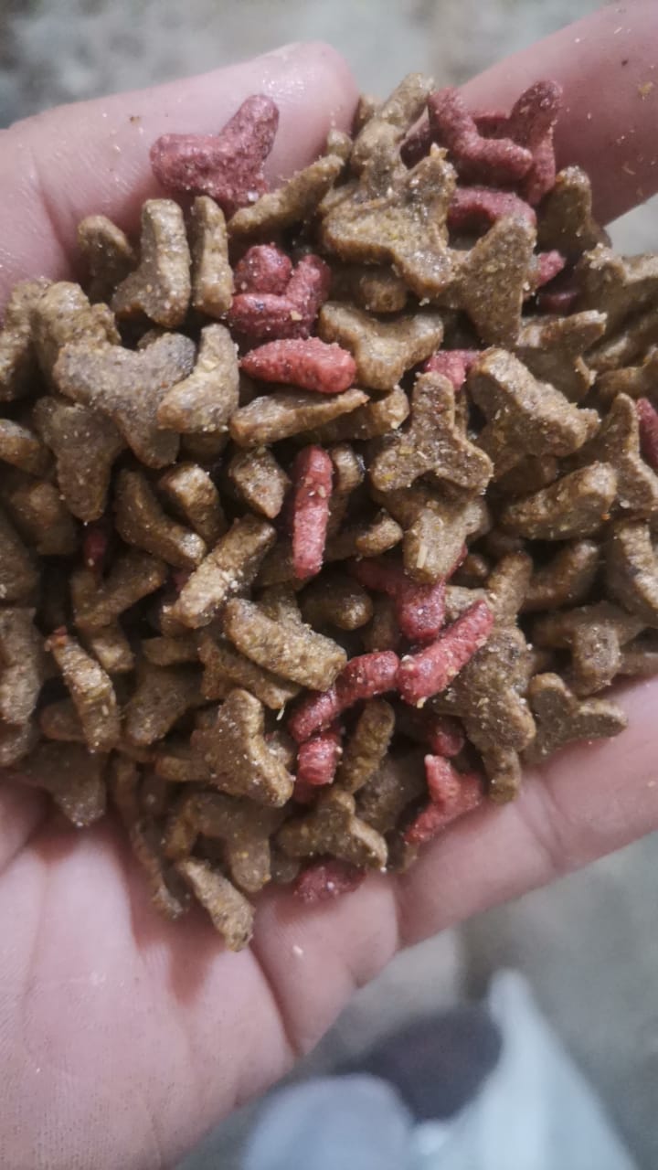 66461b0f_decatoo-adult-cats-dry-food-10-kg