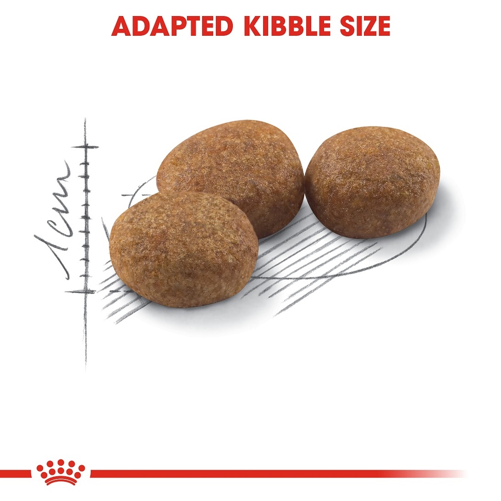 67a23069_royal-canin-sterilised-cats-dry-food-400g