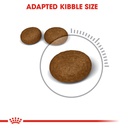 Royal Canin Hair & Skin Dry Food 4kg