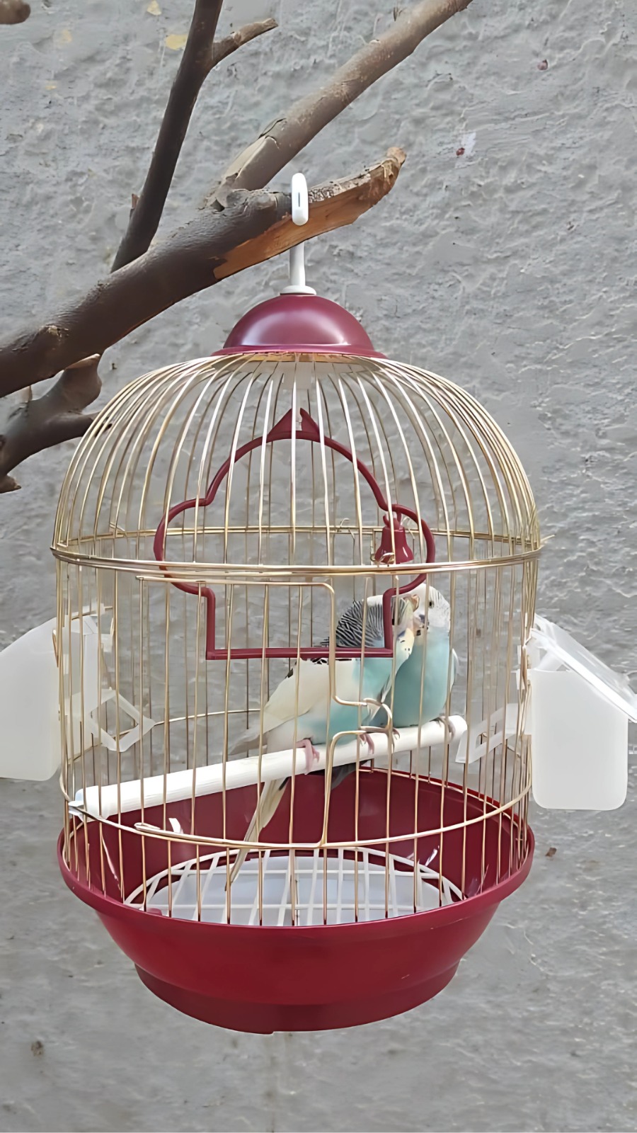 67af13a3_bird-cage-cylinder-shape