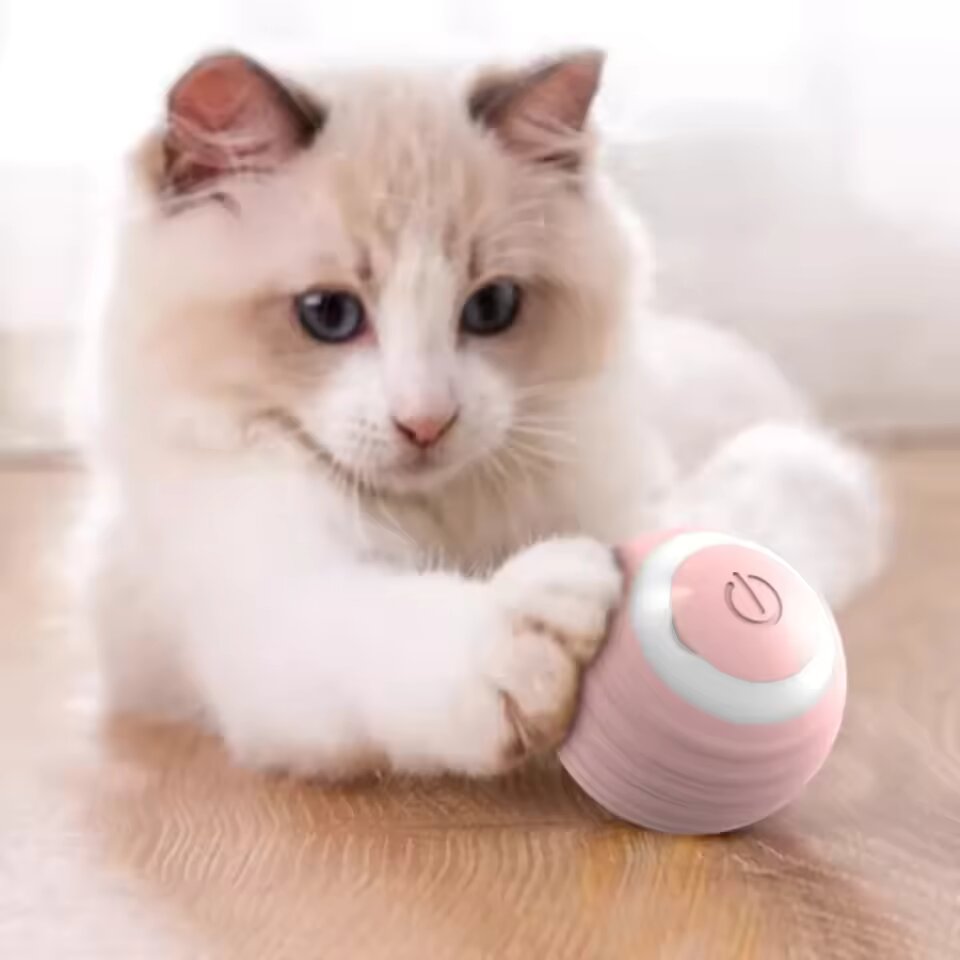 67e5183f_interactive-smart-cat-ball-toy