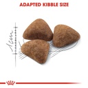 Royal Canin Indoor Adult Dry Cat Food 400g