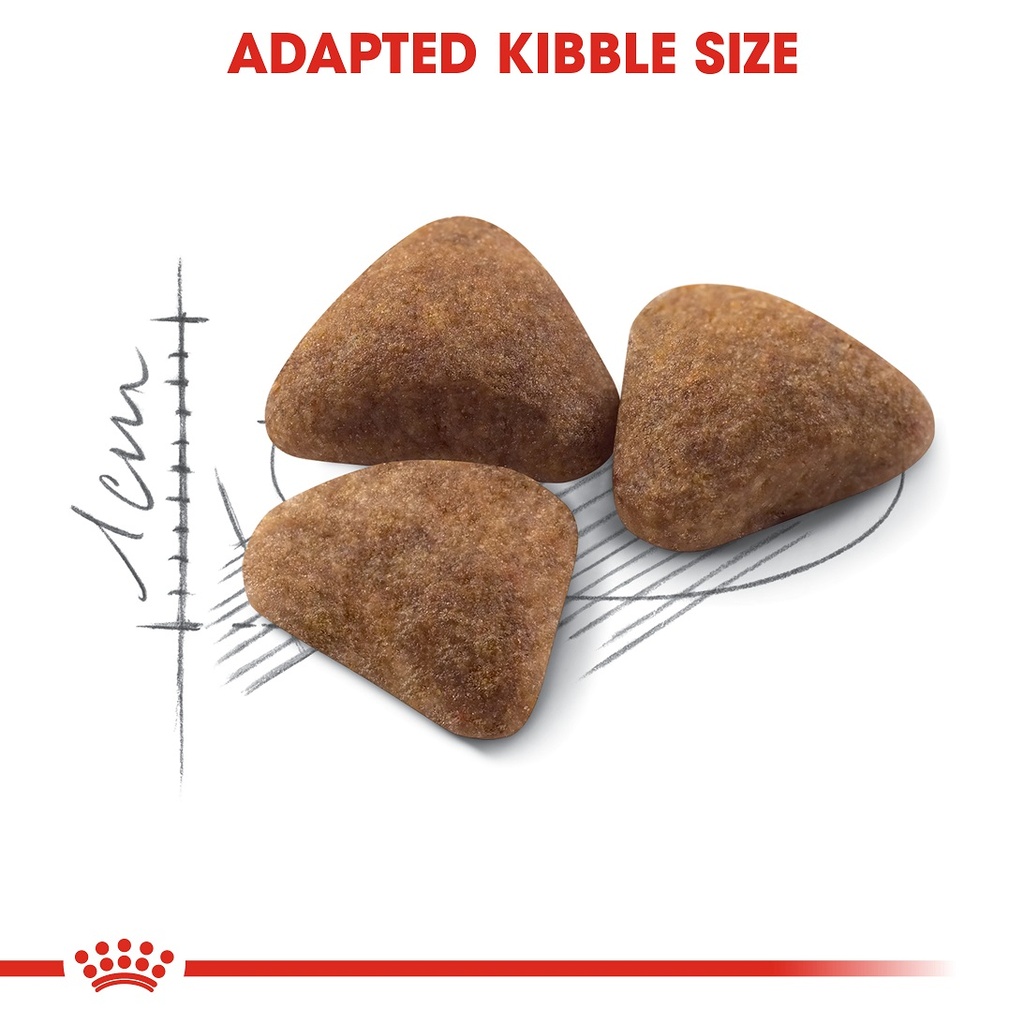 67f0f4ff_royal-canin-indoor-adult-dry-cat-food-400g