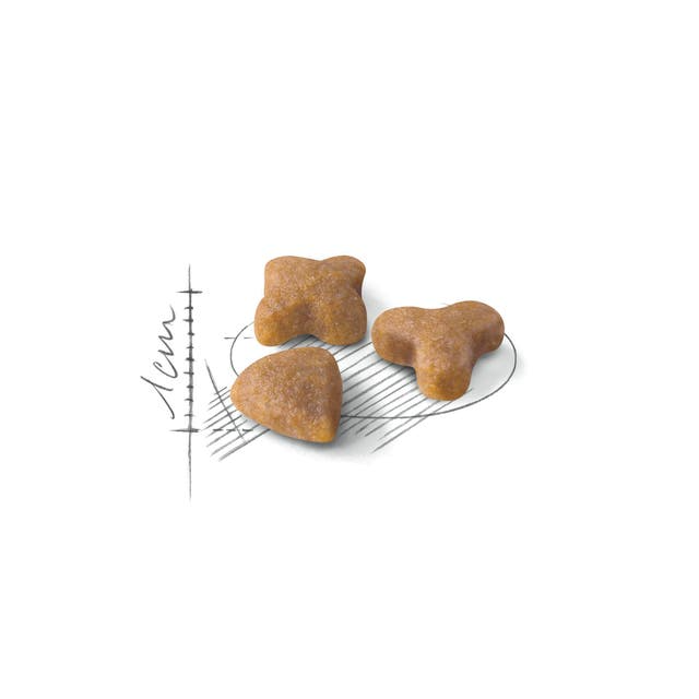 67f0f84a_royal-canin-sensible-33-adult-cat-dry-food-400g