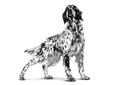 Royal Canin Veterinary Nutrition Hypoallergenic Dog Dry Food 7 Kg