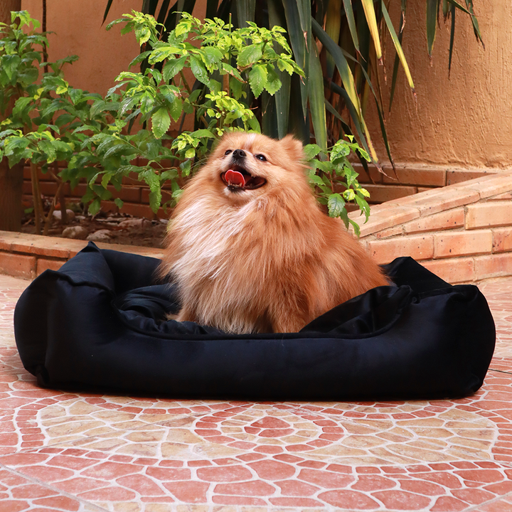 6810a55a_petmoda-velvet-bed-large-70-55