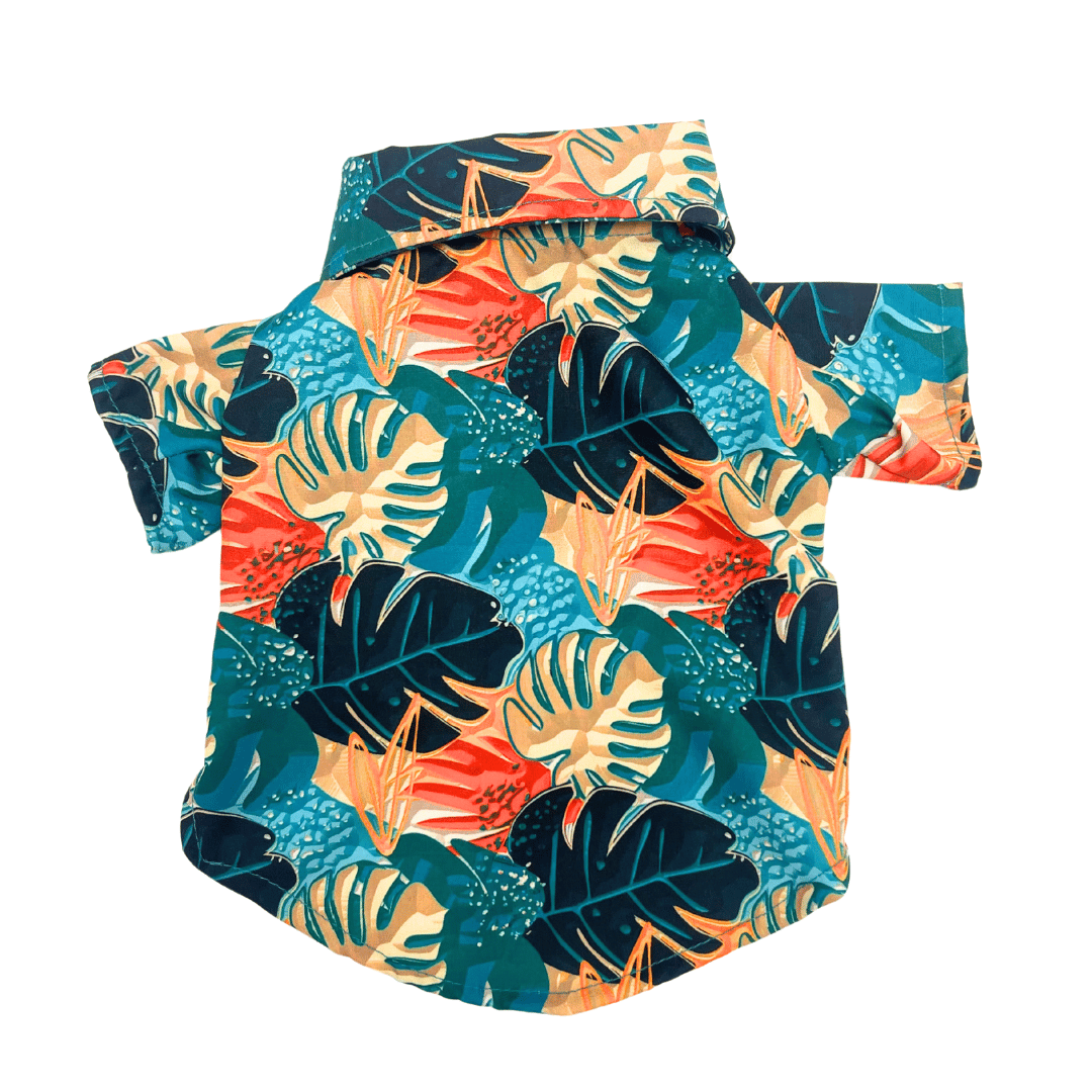 68270b9b_petmoda-hawaiian-cat-shirt-size-1