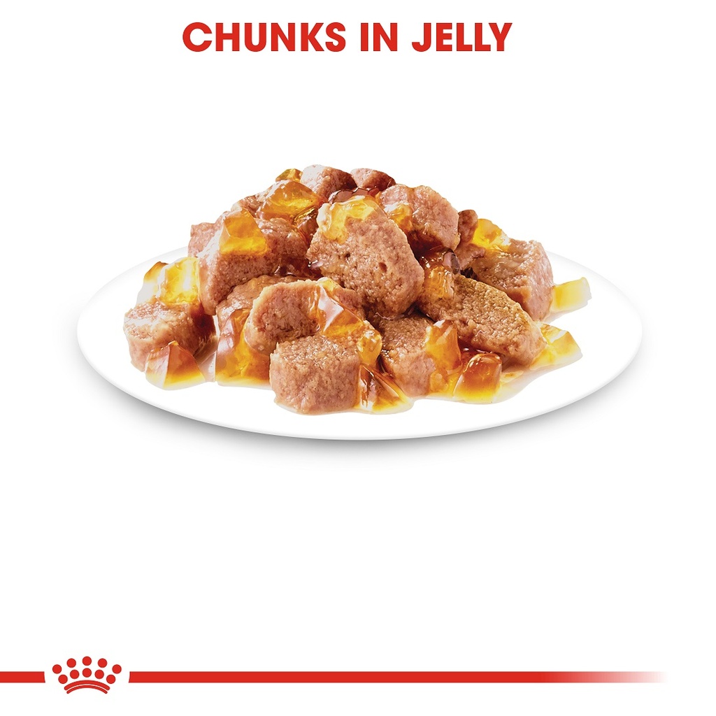 683db525_royal-canin-hair-skin-care-jelly-85g