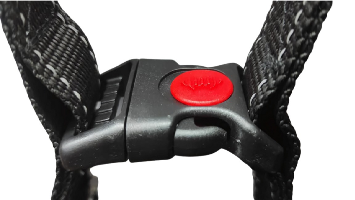 685fba08_sport-dog-harness-set-small