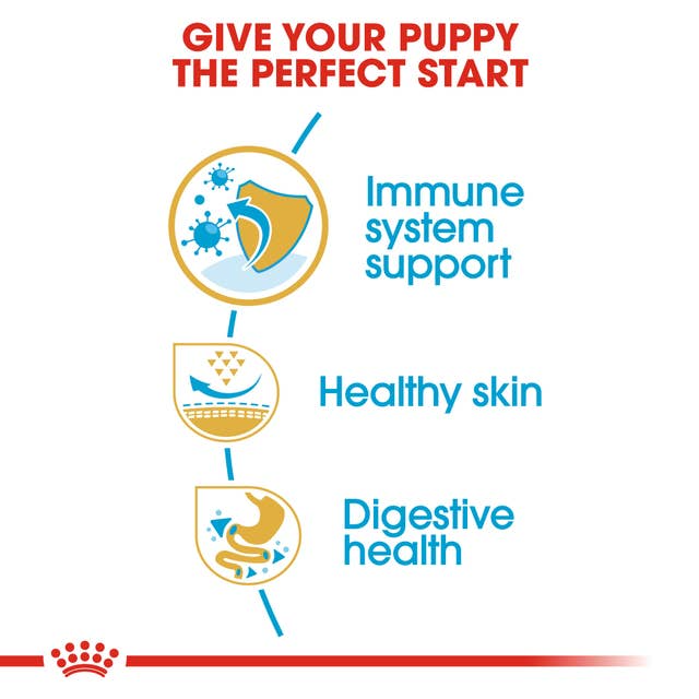 Royal Canin Pug Puppy Dog Dry Food 1.5 Kg