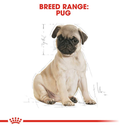 Royal Canin Pug Puppy Dog Dry Food 1.5 Kg