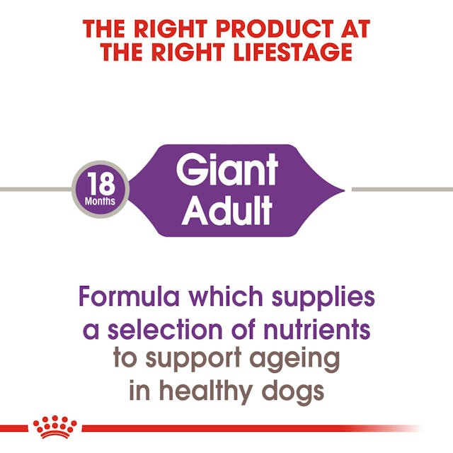 Royal Canin Giant Adult Dog Dry Food 4 Kg