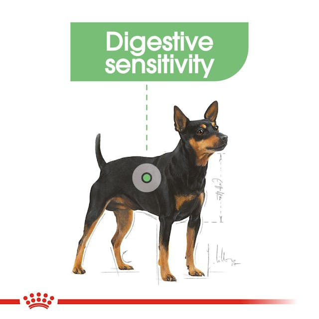 Royal Canin Mini Digestive Care Dog Dry Food 3 Kg