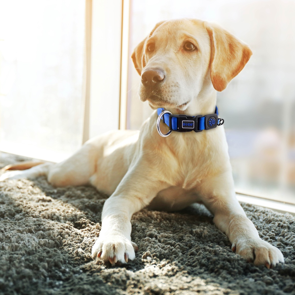 Doco Nylon O-Ring Collar Large (2.5cm x 40-62cm)