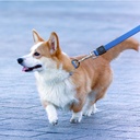 Doco Nylon Leash M (2.0 x 120cm)