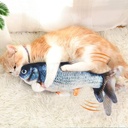 Cat Fish Toy